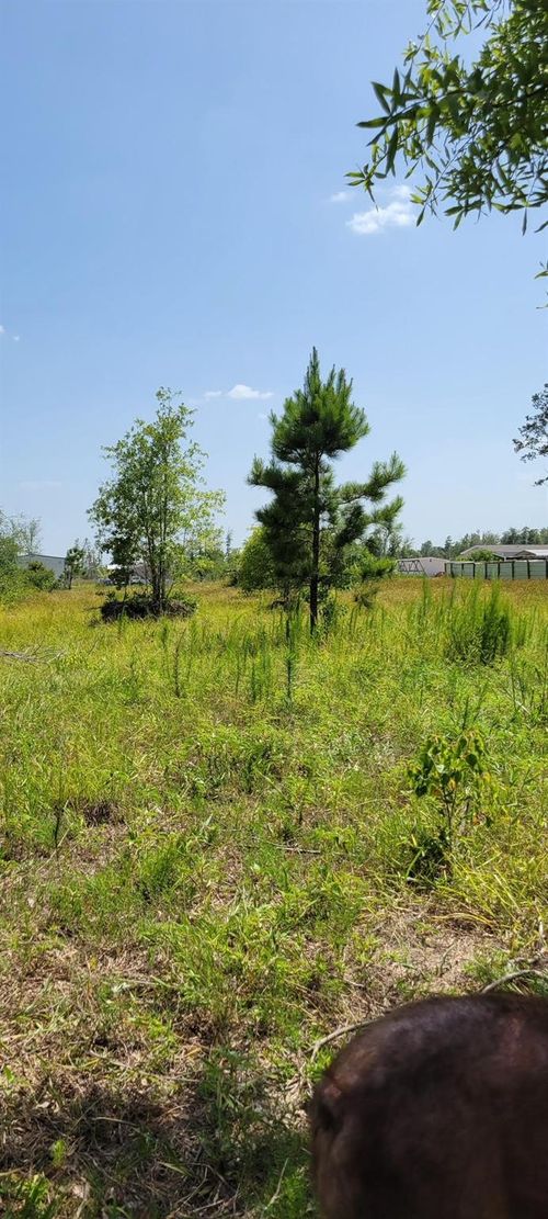 2411 Road 5100 Rd, Cleveland, TX, 77327 | Card Image