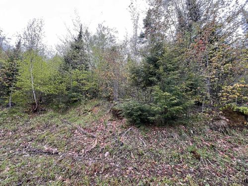TBD Harborview Unit 10 Drive, Munising, MI, 49862 | Card Image