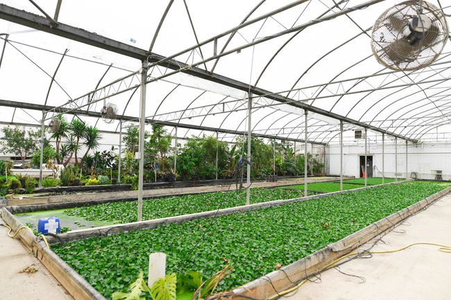 View of yard with a garden | Image 37