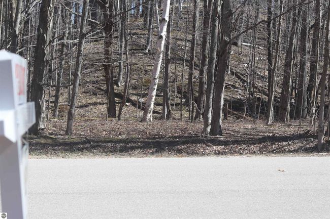 lot 22 Crystal Ridge Dr, Home with 0 bedrooms, 0 bathrooms and null parking in Beulah MI | Image 5