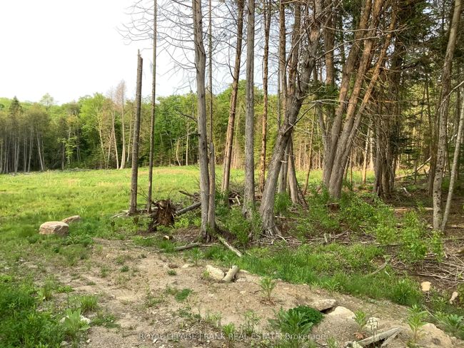 20833 Highway 118, Home with 0 bedrooms, 0 bathrooms and null parking in Wilberforce ON | Image 4