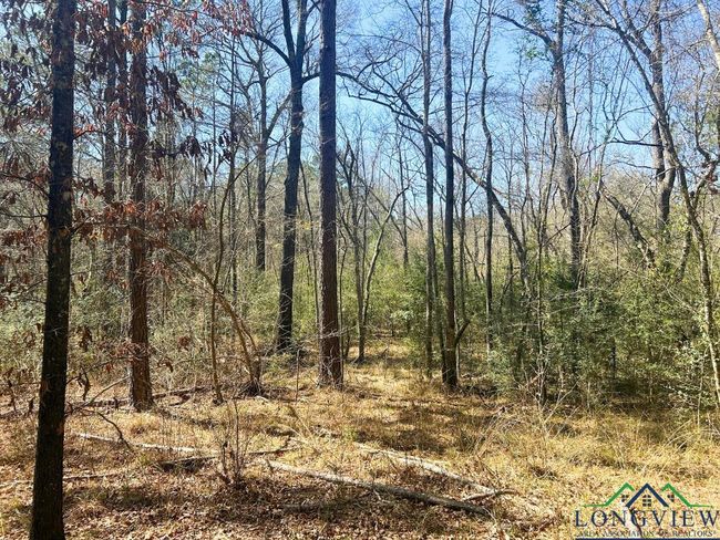60 ac TBD Cr 1453, Home with 0 bedrooms, 0 bathrooms and null parking in Linden TX | Image 6