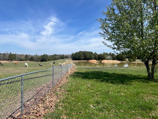 Field and pond2 | Image 23