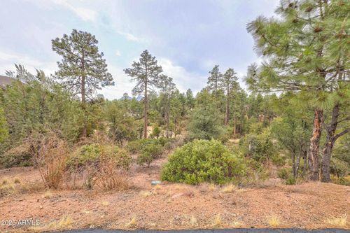 434-505 N Grapevine Drive, Payson, AZ, 85541 | Card Image