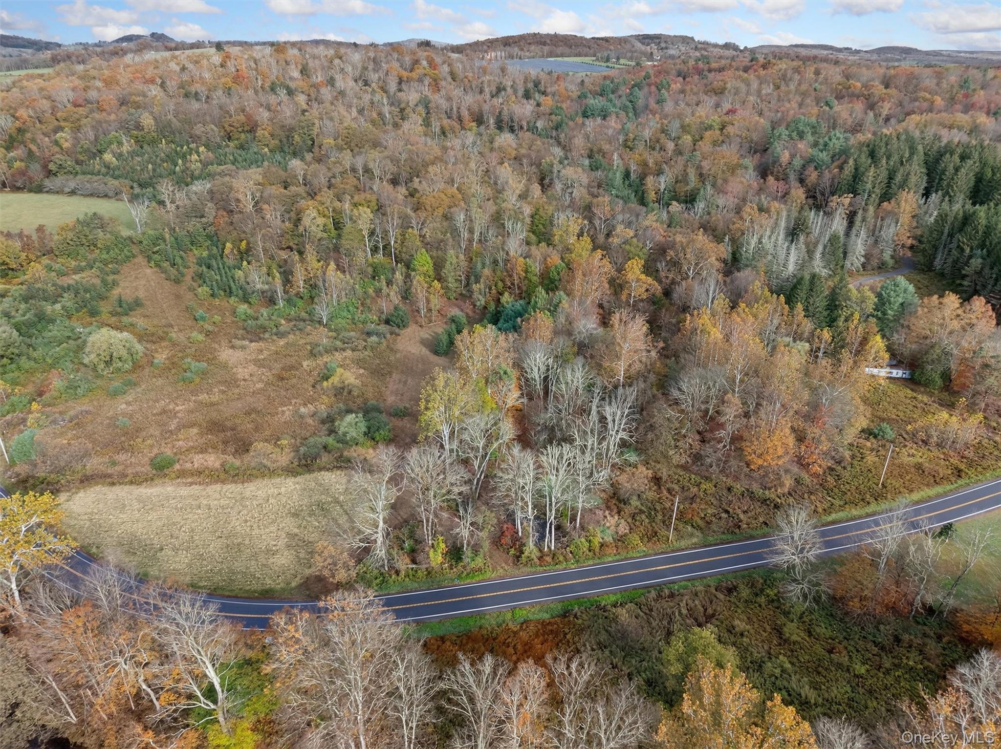 Land in Delaware 5