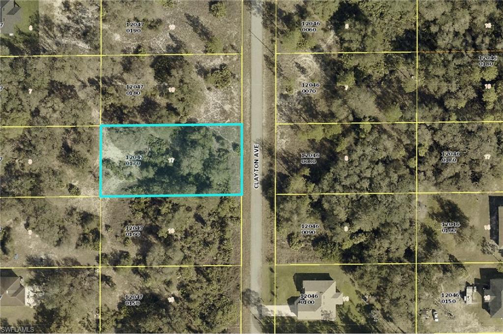 Land in LEHIGH ACRES 5