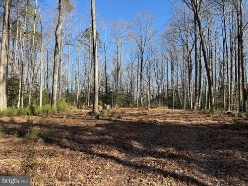 Lot 114 Bogey Neck Rd, Heathsville, VA, 22473-4316 | Card Image