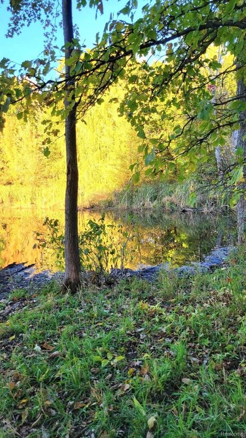 0 Rochester Rd, Dryden, MI, 48428 | Card Image