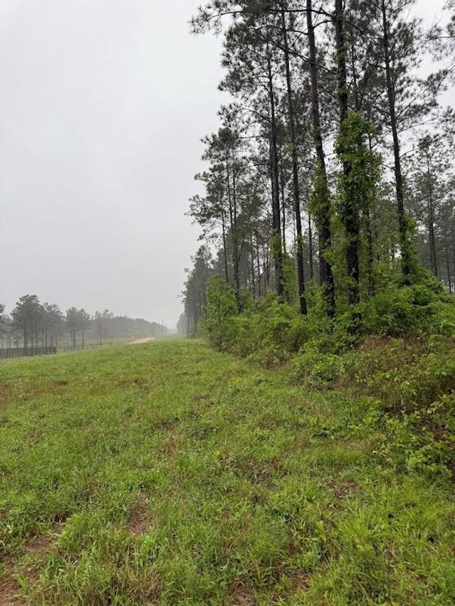 0 Richardson Rd E, Home with 0 bedrooms, 0 bathrooms and null parking in Livingston TX | Image 26