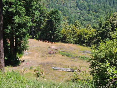 245 Twin Trees Ln, Garberville, CA, 95542-3800 | Card Image