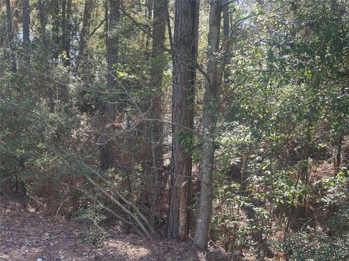 Lot 67/68 Wildwood Harbor Cir, Onalaska, TX, 77360 | Card Image