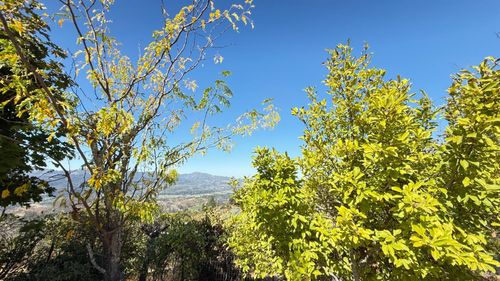 920 Crestmont Dr, Angwin, CA, 94508-9666 | Card Image