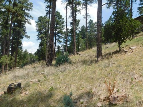 1-208 Timberline Dr, Ruidoso, NM, 88345-7735 | Card Image