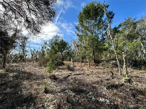 TBD Ne 16th Ln, WILLISTON, FL, 32696 | Card Image