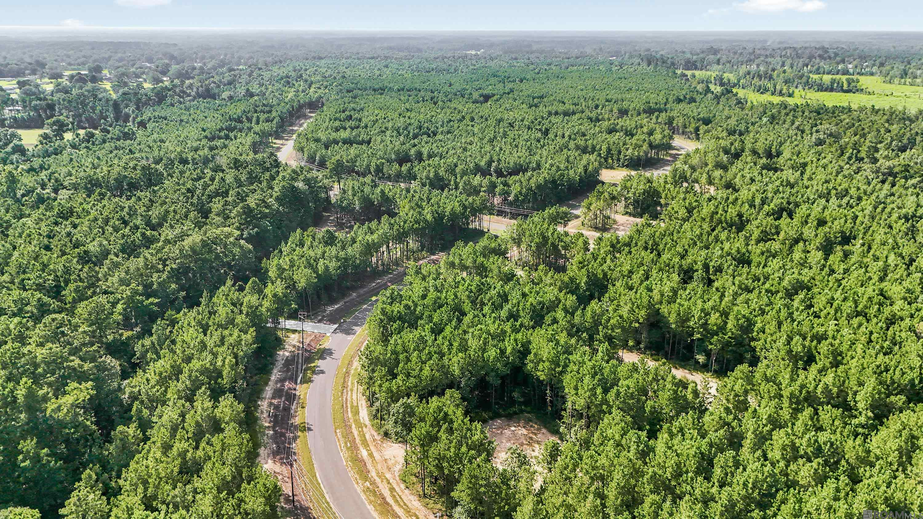 Land in Livingston 5
