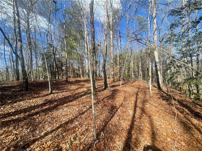 00 Academy Rd, Home with 0 bedrooms, 0 bathrooms and null parking in Mountain Rest SC | Image 35
