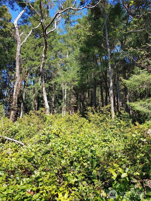 10419 Riviera Dr, Anderson Island, WA, 98303-9803 | Card Image