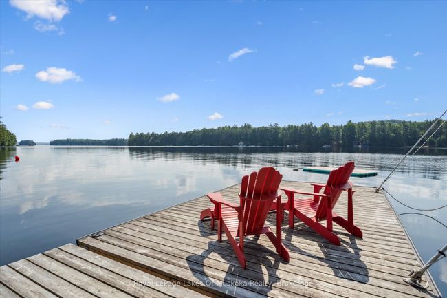 1176 Mccomb Point Dr, House other with 3 bedrooms, 3 bathrooms and 6 parking in Dorset ON | Image 44