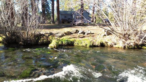 13285 Circle Dr, Old Station, CA, 96071-9309 | Card Image