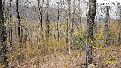 TBD Fairway Ridge Dr, West Jefferson, NC, 28694 | Card Image