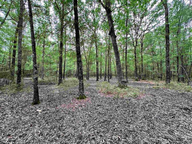 000 Oak Dale Rd, Home with 0 bedrooms, 0 bathrooms and null parking in Lonoke AR | Image 24