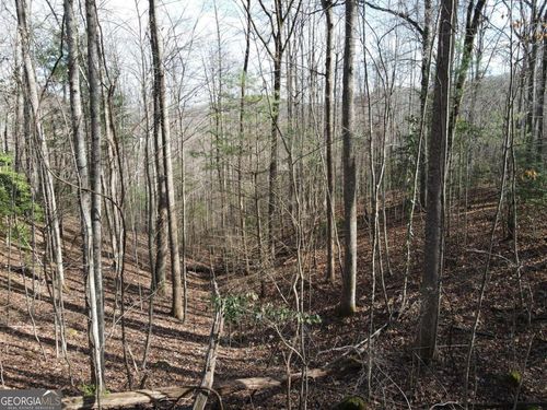 LOT 20 Settlers Cove, Blairsville, GA, 30512 | Card Image