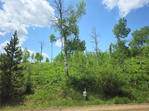 57615 Longfellow Way, Clark, CO, 80428 | Card Image