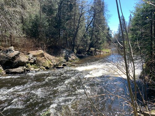 322 Sterling Falls Road, Strong, ON, P0A1Z0 | Card Image