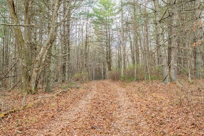 000 Miriam Road, Home with 0 bedrooms, 0 bathrooms and null parking in Dugspur VA | Image 25