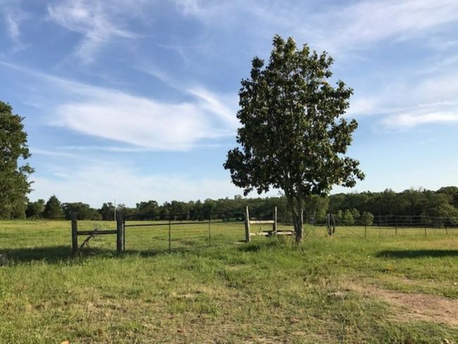 View of yard featuring a rural view and fence | Image 20