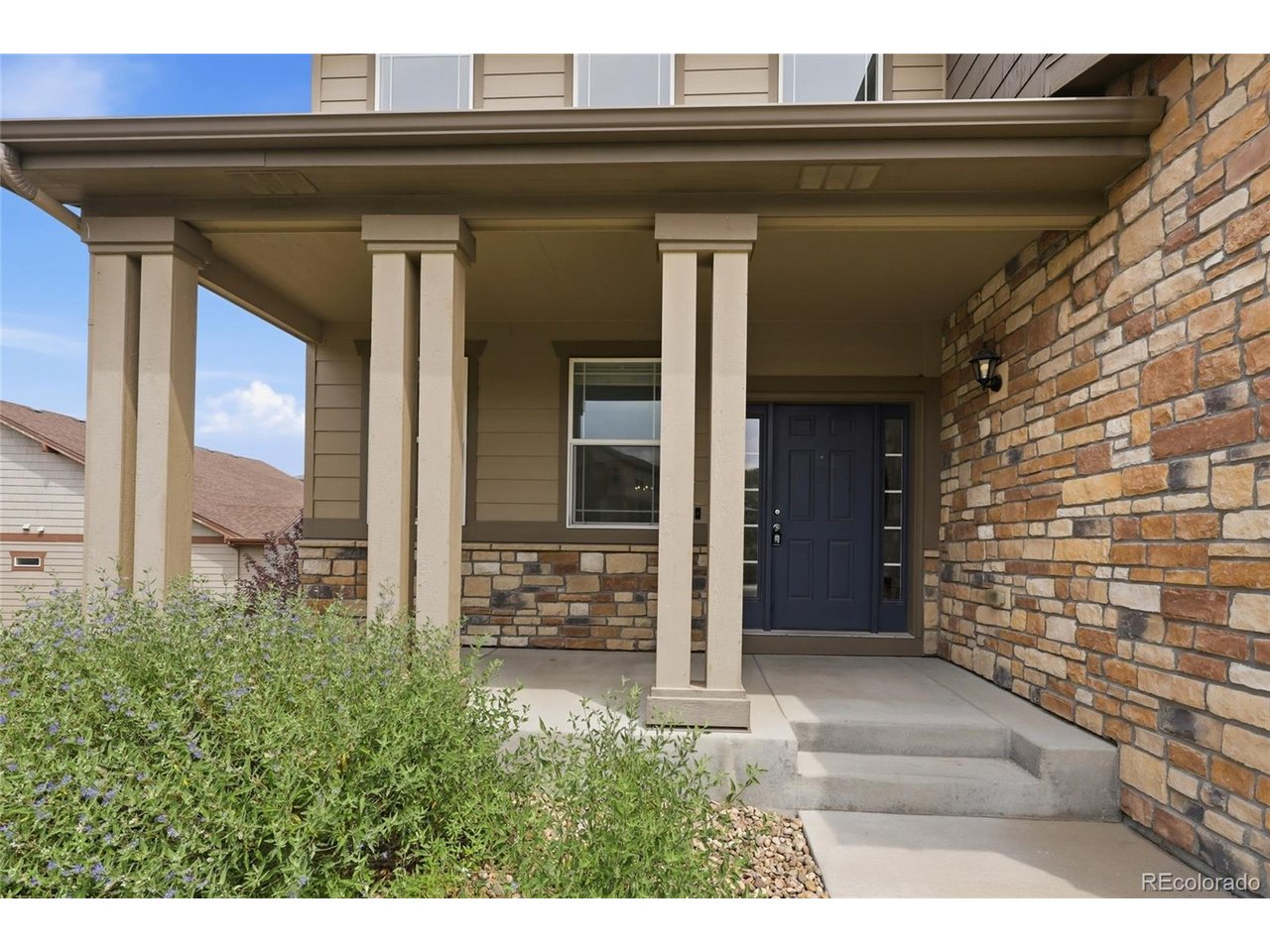 Residential in Castle Rock 3
