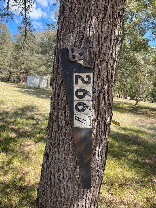 2667 Pr 1195, Home with 0 bedrooms, 0 bathrooms and null parking in Midway TX | Image 6
