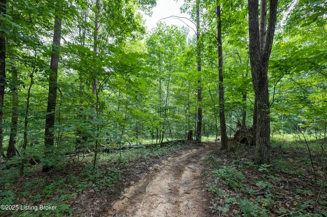 7 Vanmeter Cemetery Rd, Home with 0 bedrooms, 0 bathrooms and null parking in Bee Spring KY | Image 30