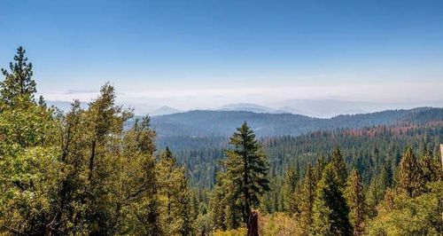 42629 Canyon Vista Ln, Shaver Lake, CA, 93664-9721 | Card Image