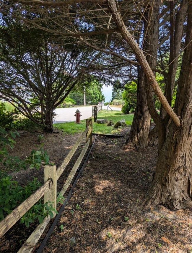 Deeded Path to Taylors Pond | Image 41