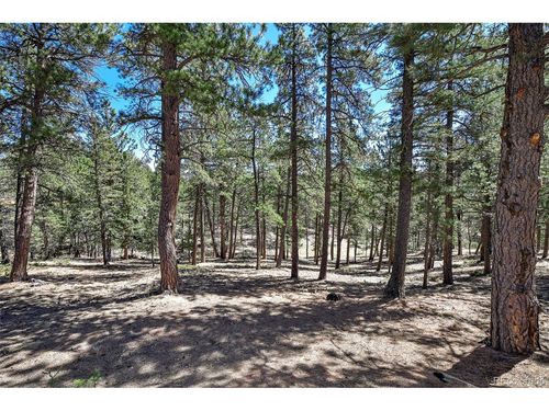 860 Spring Valley Dr, Divide, CO, 80814-9619 | Card Image