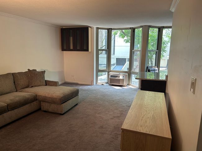 APT-2C - 1340 Dearborn St, Condo with 0 bedrooms, 1 bathrooms and null parking in CHICAGO IL | Image 5
