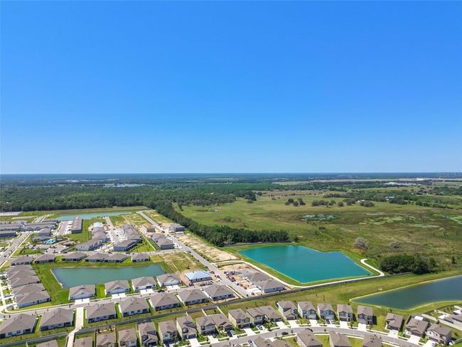 31440 Barrel Wave Way, House other with 6 bedrooms, 3 bathrooms and null parking in WESLEY CHAPEL FL | Image 35