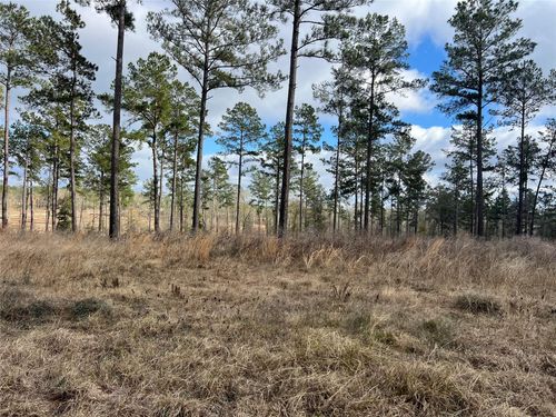 TBD Red Lowe Rd, Livingston, TX, 77351 | Card Image