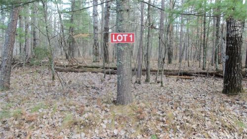 Lot 1 Gilmore Dr, MINONG, WI, 54859 | Card Image