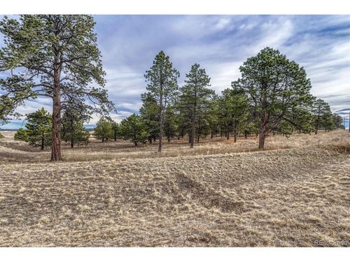 16511 Early Light Dr, Colorado Springs, CO, 80908-1698 | Card Image