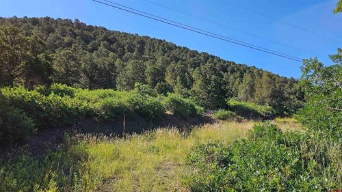 TBD Ward Creek Rd, Cedaredge, CO, 81413 | Card Image