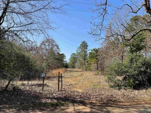 1997 Zinnia Rd, Diana, TX, 75640-3232 | Card Image