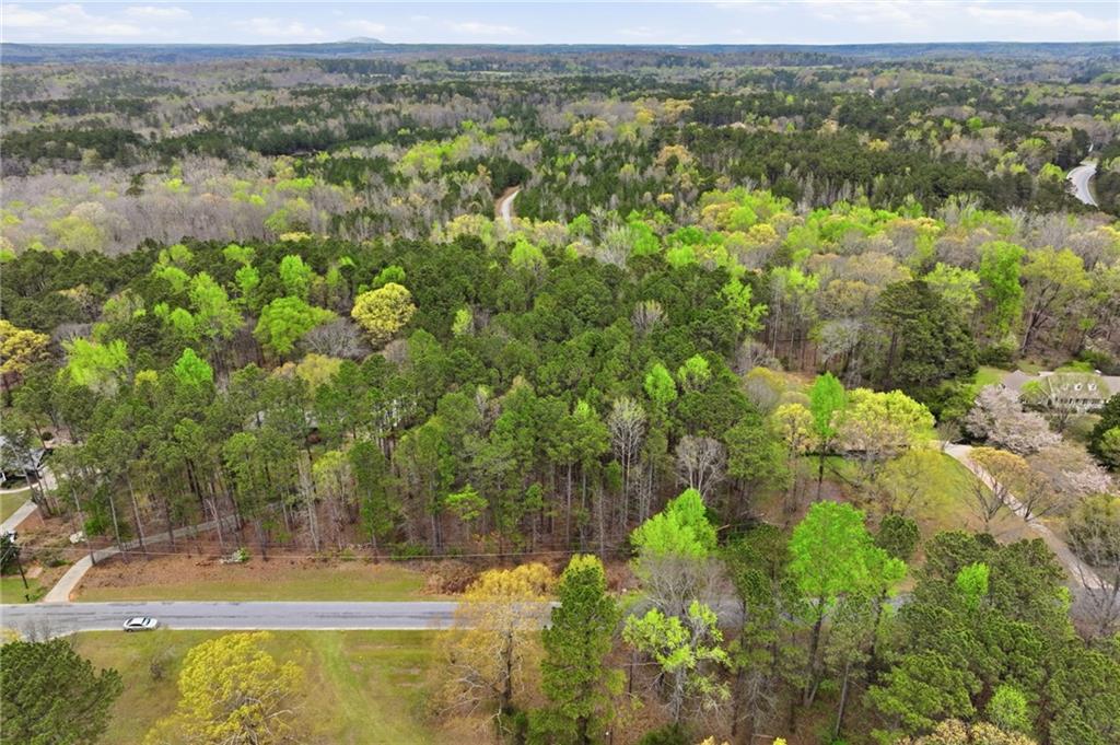 Land in Conyers 4