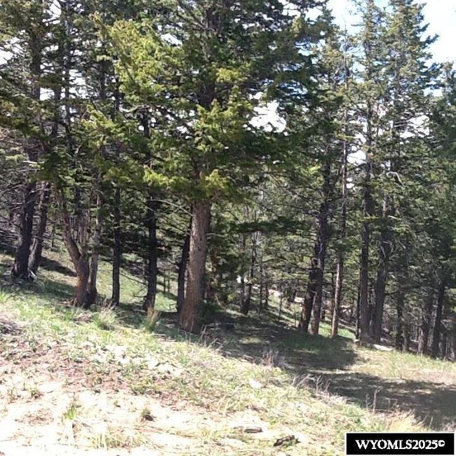 20 Spruce Creek Ct, House other with 3 bedrooms, 3 bathrooms and null parking in Dubois WY | Image 27