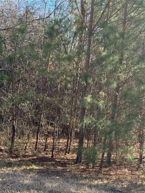 13905 Brown Bridge Rd, covington, GA, 30016-4122 | Card Image