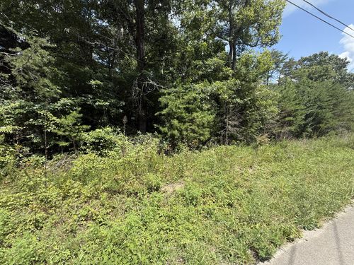 425 Woodland Ave, Altamont, TN, 37301-3613 | Card Image