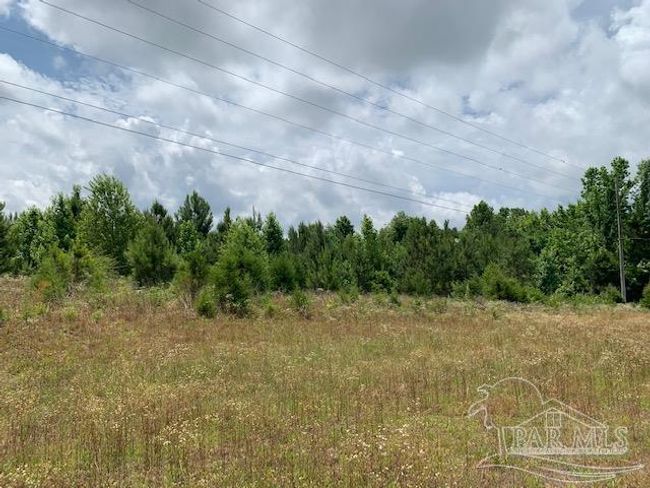 19600 Highway 43, Home with 0 bedrooms, 0 bathrooms and null parking in Grove Hill AL | Image 12