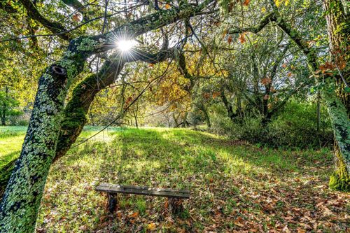 1055 Heaven Hill Rd, Sonoma, CA, 95476-3275 | Card Image