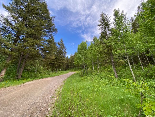 View of road | Image 75